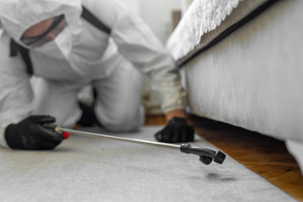 Professional Termite Control technician working in Belhaven, NC